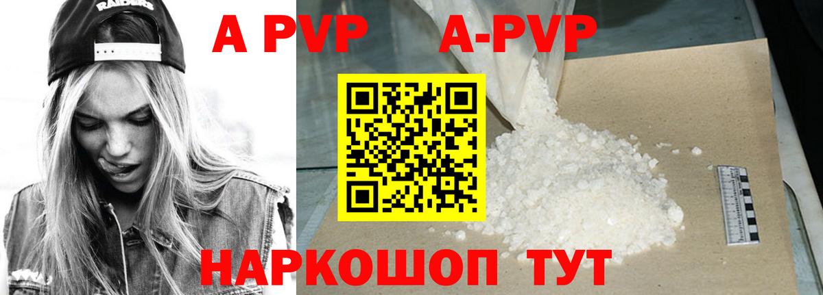 Альфа ПВП СК КРИС Сунжа