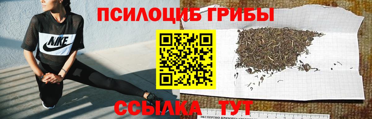 Сунжа  Псилоцибиновые грибы GOLDEN TEACHER  Вход с VPN  Галлюциногенные грибы Cubensis 