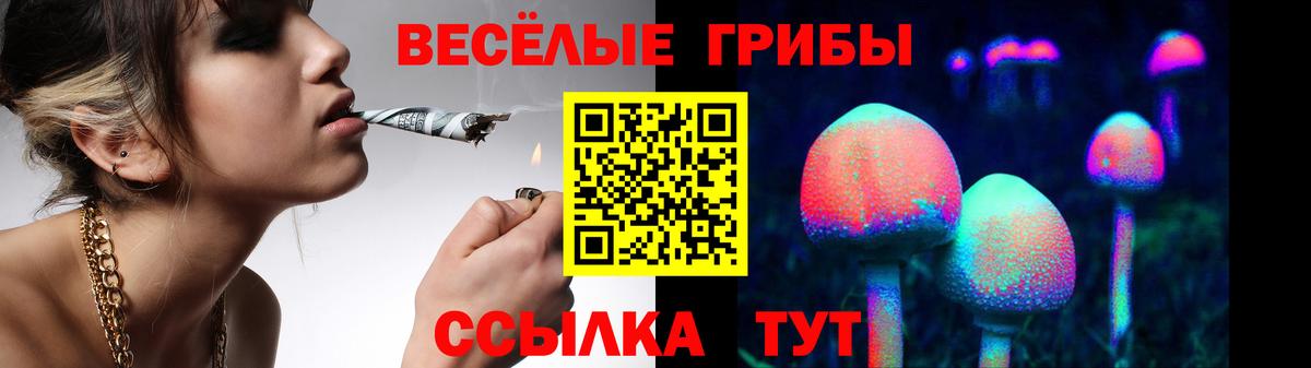 Псилоцибиновые грибы ЛСД Сунжа